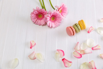 Macaroon cakes with pink rose petals and Gerbera flowers. Different types of macaron. Colorful almond cookies. On white wooden rustic background.