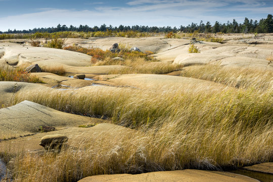 Shoreline Rocks and Grasses