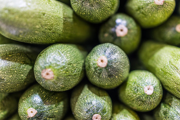 Mexican gray squash macro closeup