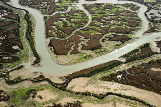 Aerial view of river in marshes at low tide exposing Seaweed, Bah&iacute;a de C&aacute;diz Natural Park, C&aacute;diz, Andalusia, Spain, February 2009.