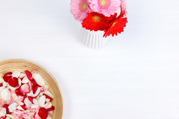 Petals of roses on white painted rustic background. Fresh natural Gerbera flowers in bowl. Dirty grunge wooden board.