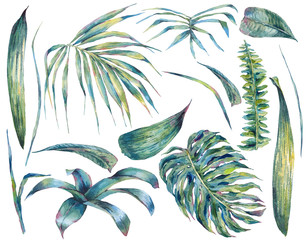 Fototapeta na wymiar Summer set et of exotic watercolor green leaves