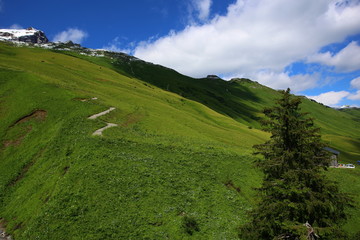Obraz premium Mountain landscape with green meadows and sunshine