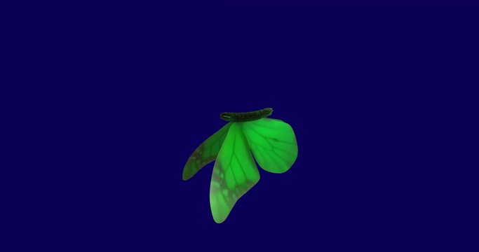 Beautiful green butterfly flapping wings gracefully in slow motion movements. Stylized 3d rendering, animation with alpha matte included.