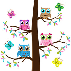 Four colorful owls sitting on the tree on a white background