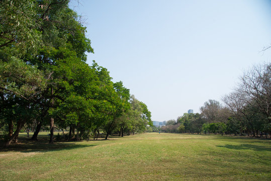 Landscape of public park in the city