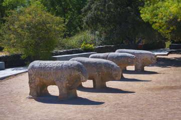 Toros de Guisando, monumento prehistórico © TIFFotos