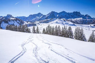 Gordijnen Skigebiet in den Alpen © mmphoto