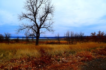 Obraz na płótnie Canvas South Dakota Landscape
