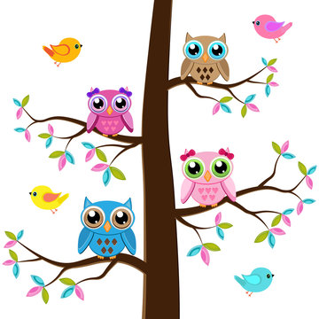 Four owls on a tree with birds