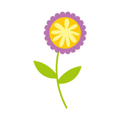 cute flower nature icon vector illustration design