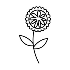 cute flower nature icon vector illustration design