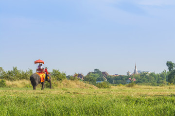 Tourists on elephant ride tourism
