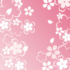 桜 バックグラウンド ピンク