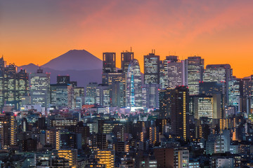 Obraz premium Tokyo skyline and Mountain fuji