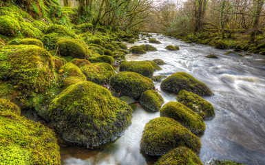 Irish Stream