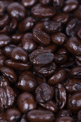 close up Roasted Coffee Beans background texture