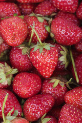 Fresh ripe strawberry