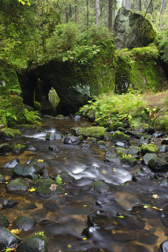 Krinice River flowing into a rock tunnel, Kyov, Ceske Svycarsko / Bohemian Switzerland National Park, Czech Republic, September 2008