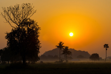 Sunshine misty morning in countryside of Thailand.