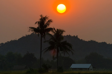 Obraz premium Beautiful big sun in the morning