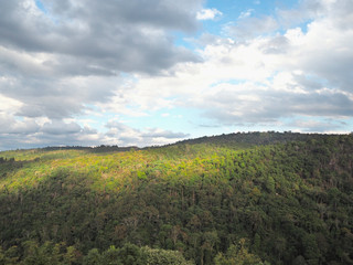 Landscape of green forest at high mountain on cloudy day.