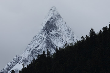 Mount Belalakaya (3,861m) in overcast weather, late evening, near Dombay, Teberdinsky biosphere reserve, Caucasus, Russia, July 2008