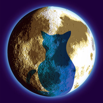 Cat and Moon  - vector illutration 
