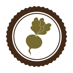 fresh vegetable product seal vector illustration design