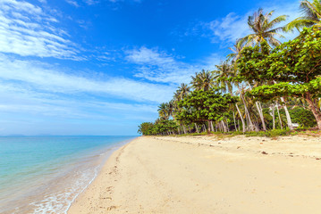 Tropical Thong Tanod Beach on Koh Samui in Thailand.