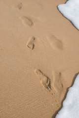 Fototapeta na wymiar Footprints in the sand at sunset
