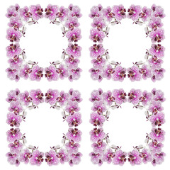 Beautiful floral background of purple orchids 