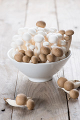 White shimeji mushrooms on wood background