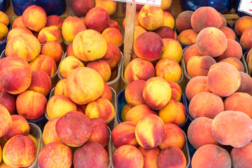 Peaches and nectarines for sale at a market