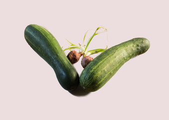 Cucumber and red onion isolated white background