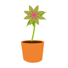 flower pot decorative icon vector illustration design