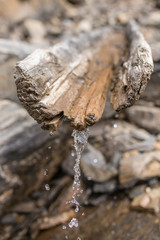 Wall Fountain at sacred Muktinath temple in Annapurna Region in Nepal. Jwala Mai of Muktinath.