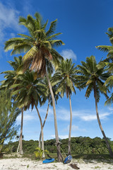 Fototapeta premium Südsee-Aitutaki-12292