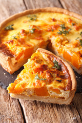 Savory pie with pumpkin, cheese, chicken and herbs closeup. vertical