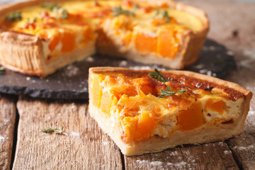 Piece of pie with pumpkin, cheese and chicken close-up. horizontal