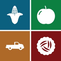 Set of 4 Agriculture filled icons