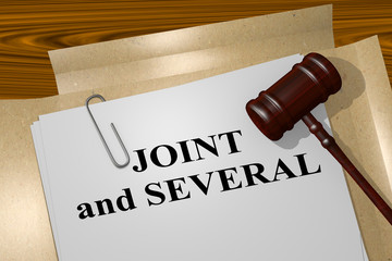 Joint and Several - legal concept