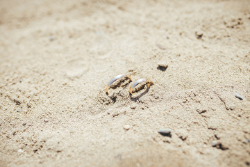 Кольца свадьба песок пляж море