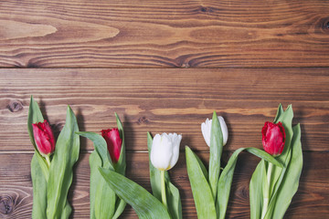Five tulip flowers on wooden background