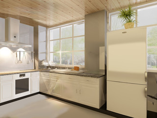 rendering kitchen room