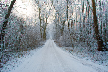 Fototapeta premium Snowy rural road at sunset