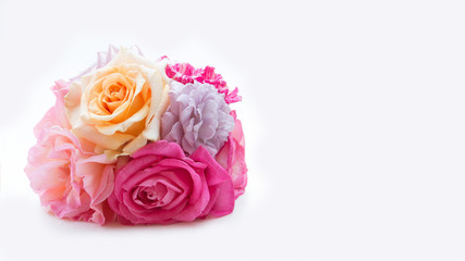 Roses Many colors isolate