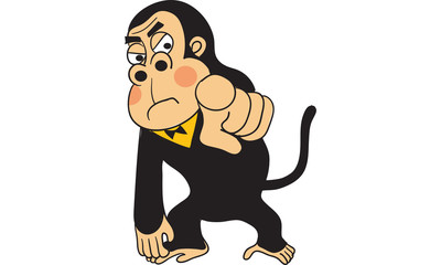 monkey action, monkey emotion