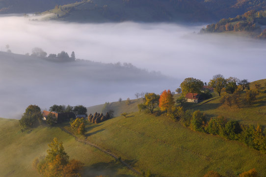 Rural farming landscape with haystacks in a field near Zarnesti, Transylvania, Southern Carpathian Mountains, Romania, October 2008