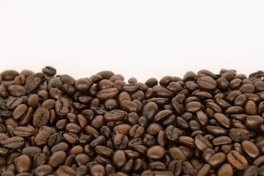 Coffee bean on white background.